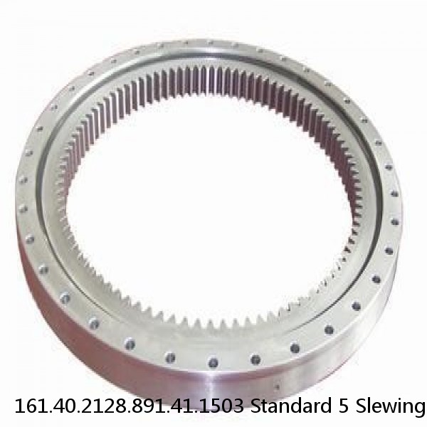 161.40.2128.891.41.1503 Standard 5 Slewing Ring Bearings