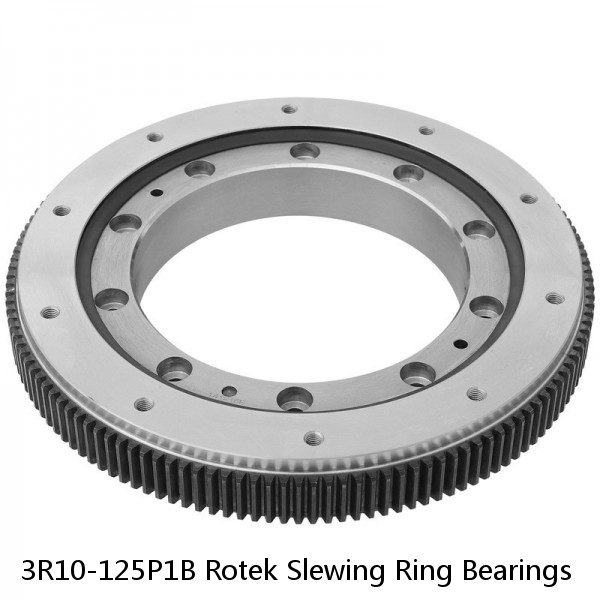 3R10-125P1B Rotek Slewing Ring Bearings