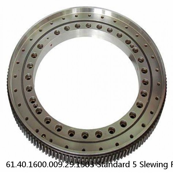 61.40.1600.009.29.1503 Standard 5 Slewing Ring Bearings