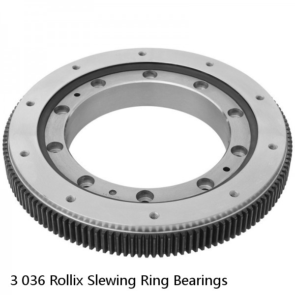 3 036 Rollix Slewing Ring Bearings