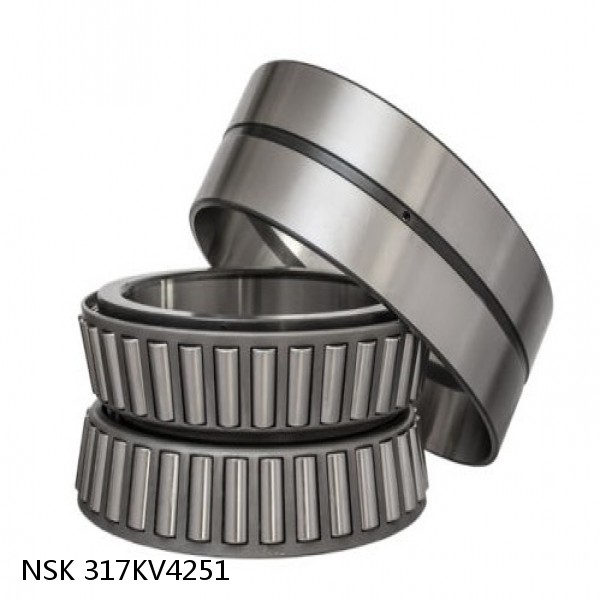 317KV4251 NSK Four-Row Tapered Roller Bearing