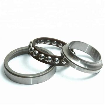 80 mm x 200 mm x 48 mm  NACHI NF 416 cylindrical roller bearings