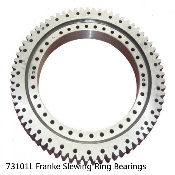 73101L Franke Slewing Ring Bearings