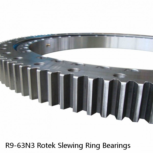 R9-63N3 Rotek Slewing Ring Bearings