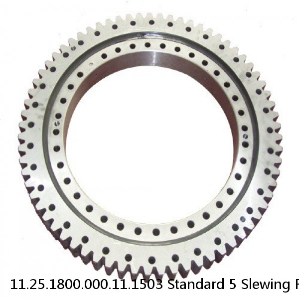 11.25.1800.000.11.1503 Standard 5 Slewing Ring Bearings