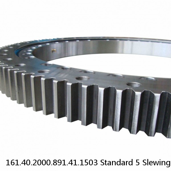 161.40.2000.891.41.1503 Standard 5 Slewing Ring Bearings