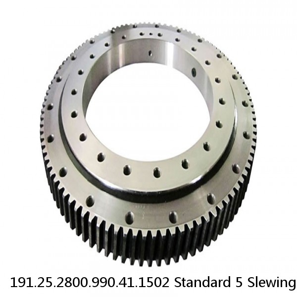 191.25.2800.990.41.1502 Standard 5 Slewing Ring Bearings