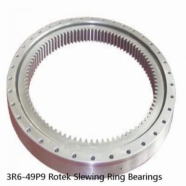 3R6-49P9 Rotek Slewing Ring Bearings