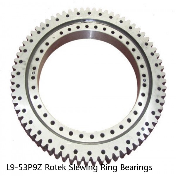 L9-53P9Z Rotek Slewing Ring Bearings