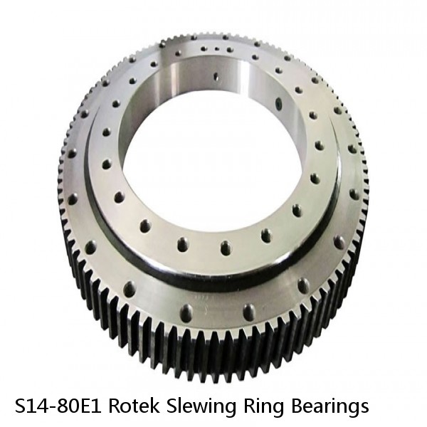 S14-80E1 Rotek Slewing Ring Bearings