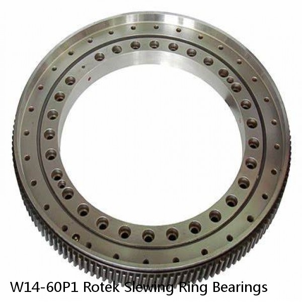 W14-60P1 Rotek Slewing Ring Bearings