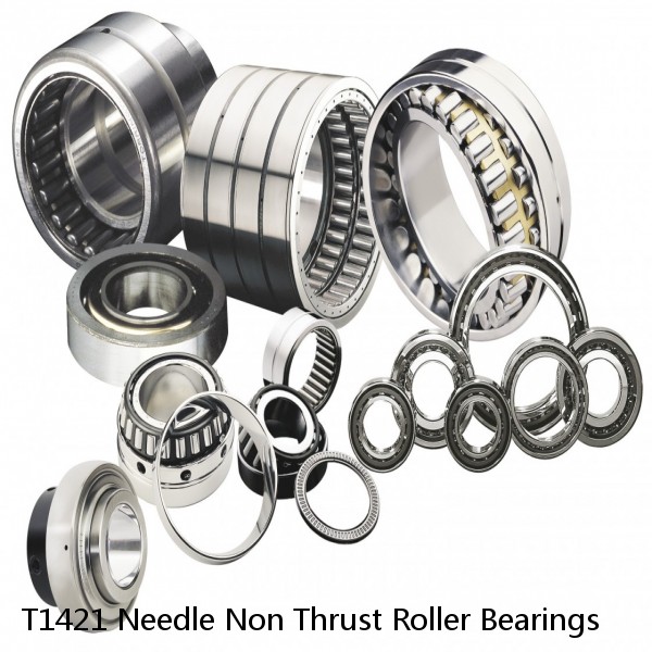 T1421 Needle Non Thrust Roller Bearings