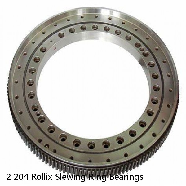 2 204 Rollix Slewing Ring Bearings