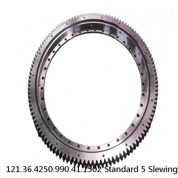 121.36.4250.990.41.1502 Standard 5 Slewing Ring Bearings