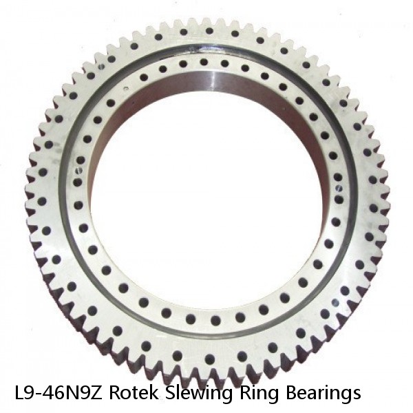 L9-46N9Z Rotek Slewing Ring Bearings