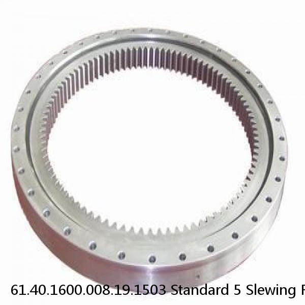 61.40.1600.008.19.1503 Standard 5 Slewing Ring Bearings