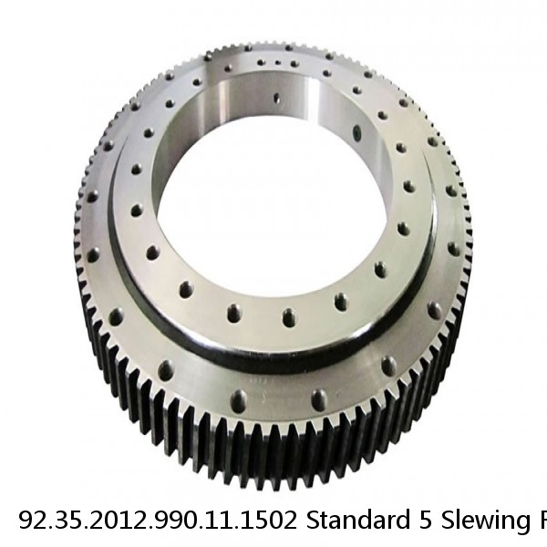 92.35.2012.990.11.1502 Standard 5 Slewing Ring Bearings