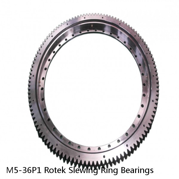 M5-36P1 Rotek Slewing Ring Bearings