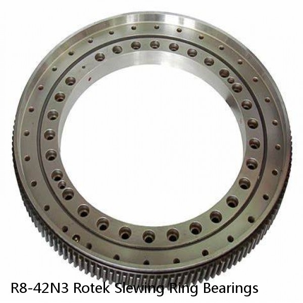 R8-42N3 Rotek Slewing Ring Bearings