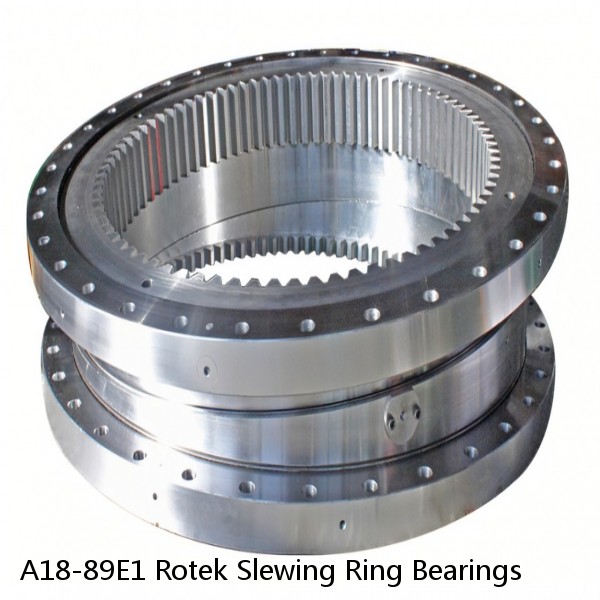 A18-89E1 Rotek Slewing Ring Bearings