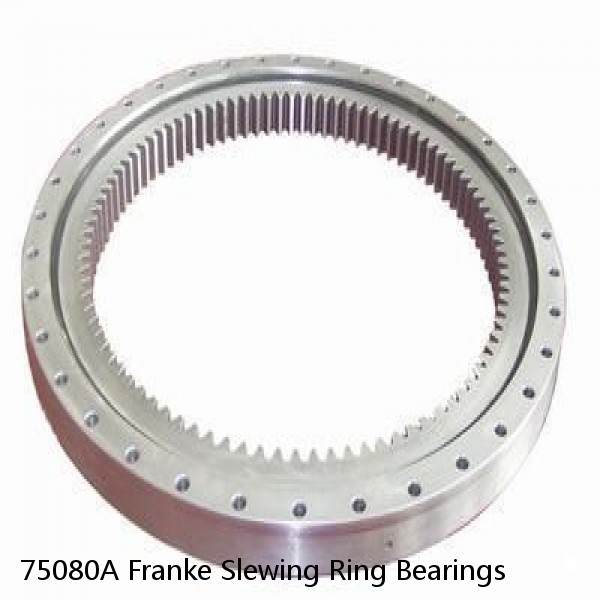 75080A Franke Slewing Ring Bearings