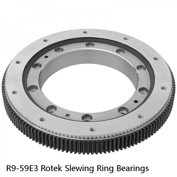 R9-59E3 Rotek Slewing Ring Bearings