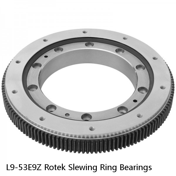 L9-53E9Z Rotek Slewing Ring Bearings