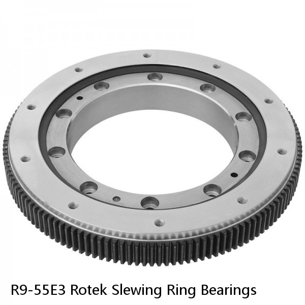 R9-55E3 Rotek Slewing Ring Bearings