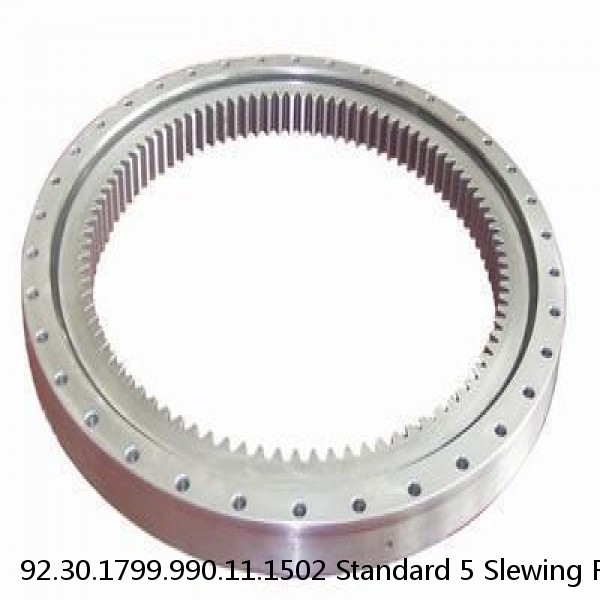 92.30.1799.990.11.1502 Standard 5 Slewing Ring Bearings