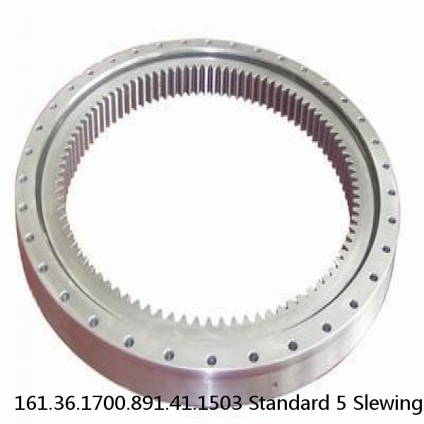 161.36.1700.891.41.1503 Standard 5 Slewing Ring Bearings