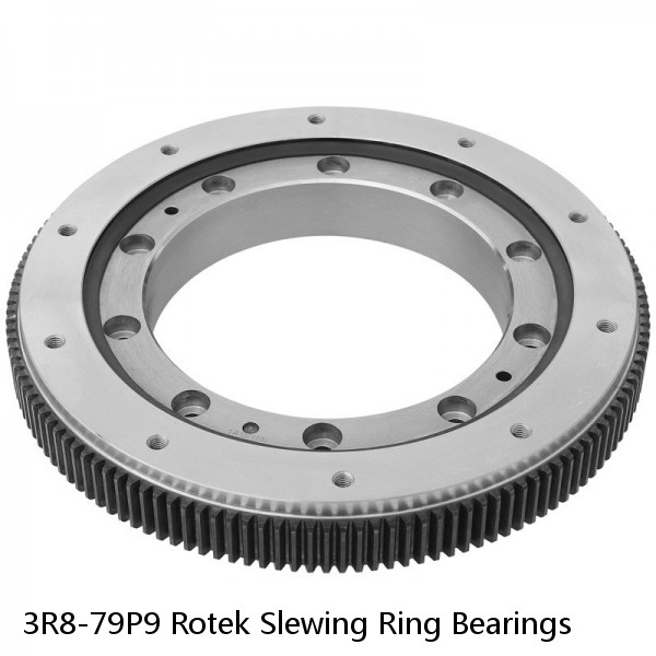 3R8-79P9 Rotek Slewing Ring Bearings