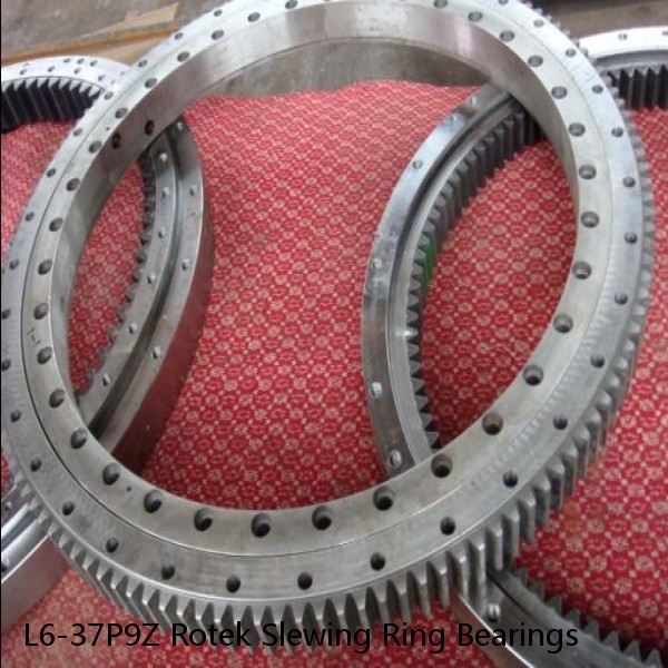 L6-37P9Z Rotek Slewing Ring Bearings