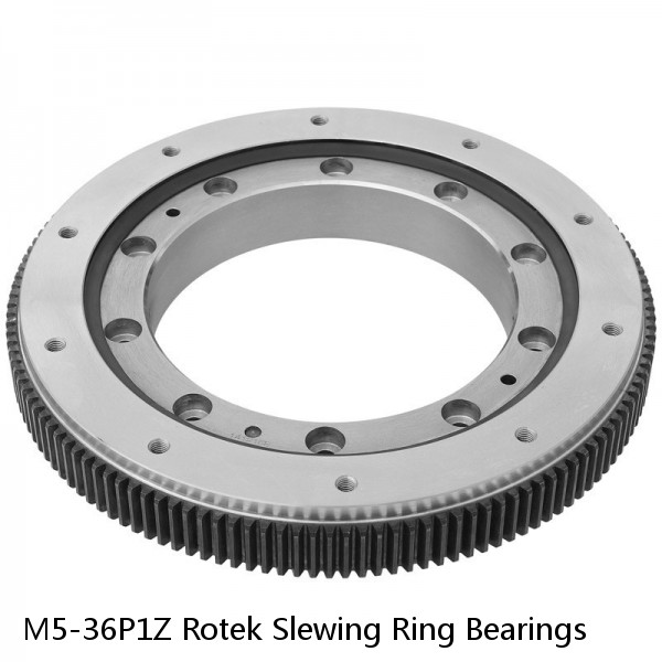 M5-36P1Z Rotek Slewing Ring Bearings