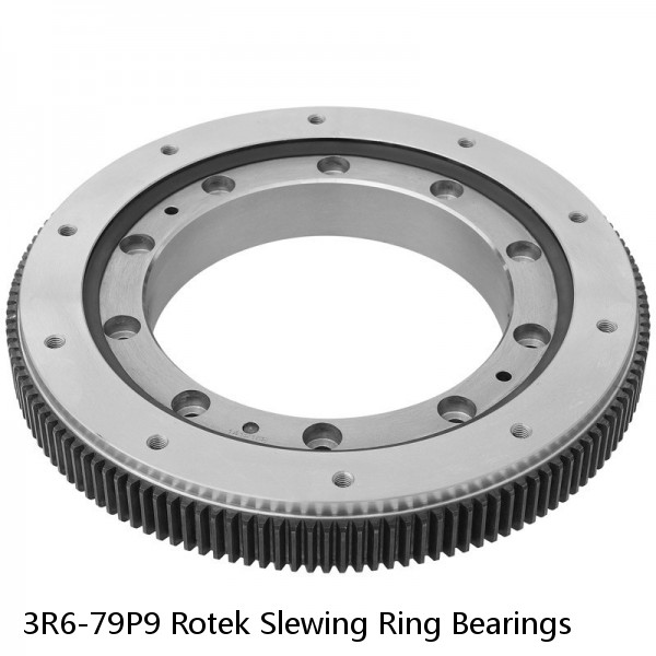 3R6-79P9 Rotek Slewing Ring Bearings