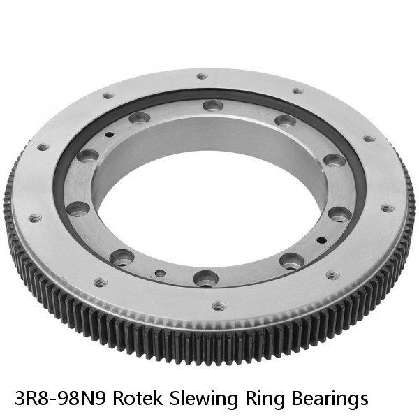 3R8-98N9 Rotek Slewing Ring Bearings