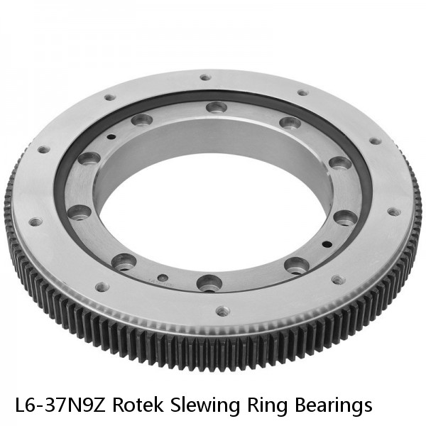 L6-37N9Z Rotek Slewing Ring Bearings