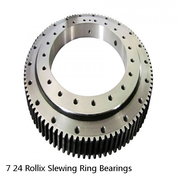 7 24 Rollix Slewing Ring Bearings