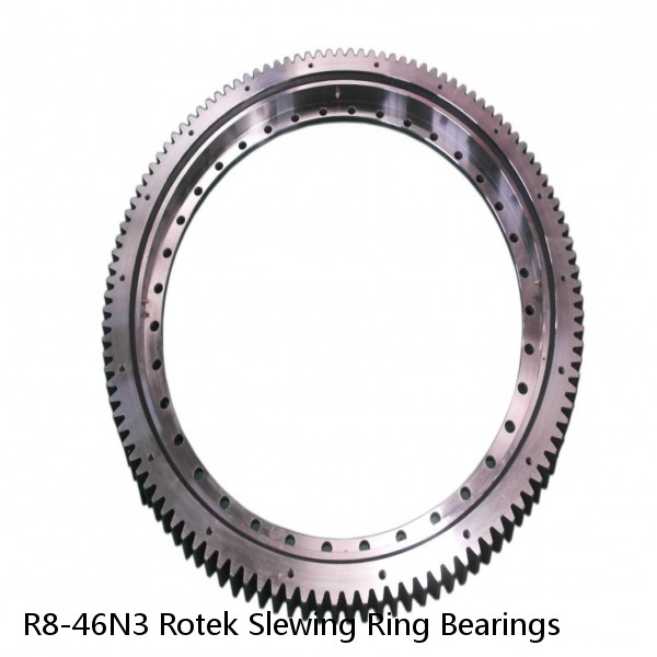 R8-46N3 Rotek Slewing Ring Bearings