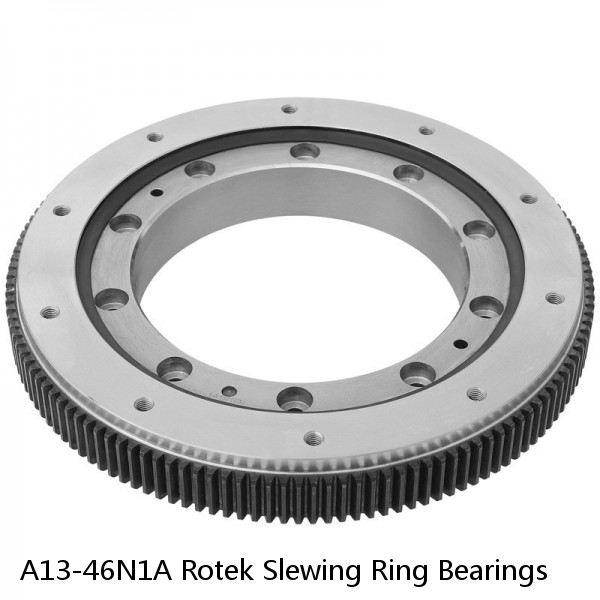 A13-46N1A Rotek Slewing Ring Bearings