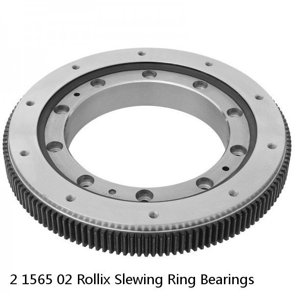 2 1565 02 Rollix Slewing Ring Bearings